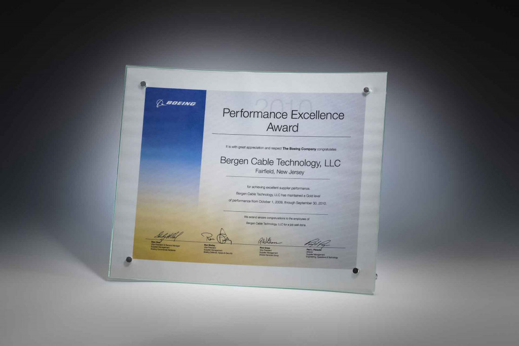 Performance Excellence Award 2
