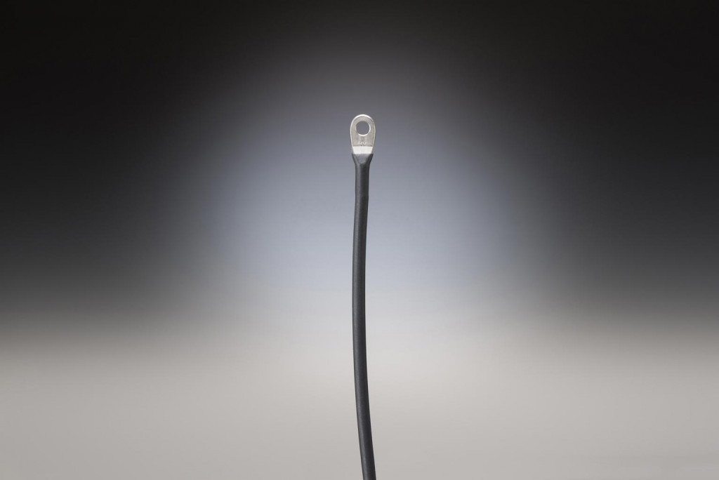 Lanyard with standard eye fitting